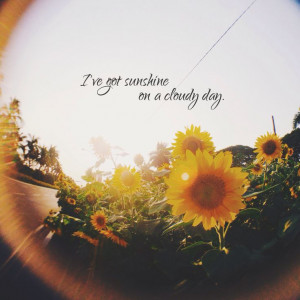 ve got sunshine on a cloudy day. #Sunflower