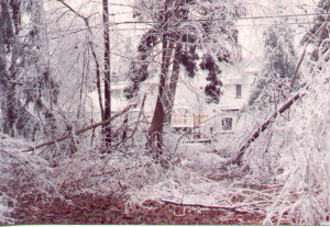 1991 ice storm rochester ny