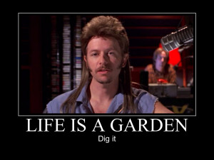 Joe Dirt Life 39 s a Garden Dig It