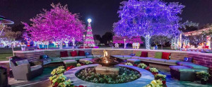 The Best Holiday Events Around DFW!