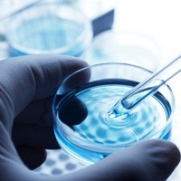 Pharma ETFs Start to Outperform Biotech ETFs Plus Other Biotech News ...