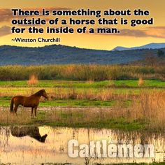 , Cattlemen Quotes, Encouragement Quotes, Country Quotes, American ...