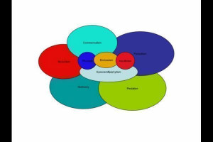Image of Symbiosis