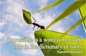 Best Quote by Napoleon Bonaparte with Image !!