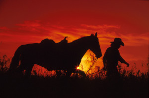 Cowboy Sunset Horse Images...