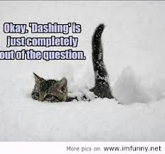 Funny-Snow-Quotes-10