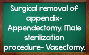 of appendix appendectomy male sterilization procedure vasectomy
