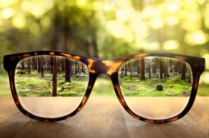 Brille 24 – der sichere und preisgünstige Weg zur neuen Sehhilfe