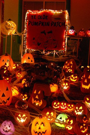 Halloween Pumpkin Patch Wallpaper The pre halloween pumpkin