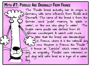 Animal Myths Dispelled