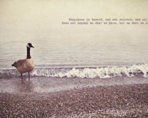 Goose, Canadian Geese, Geese Photo, Goose Photo, Photo Quote, Goose ...