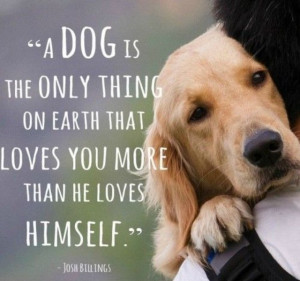 12 Facts Labradors Lovers Must Never Forget! The last one made me cry!