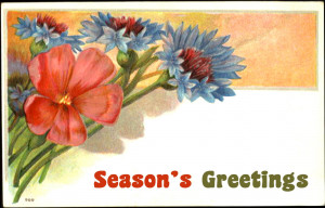 Vintage Christmas greeting card - drawing of flowers - text: Season's ...