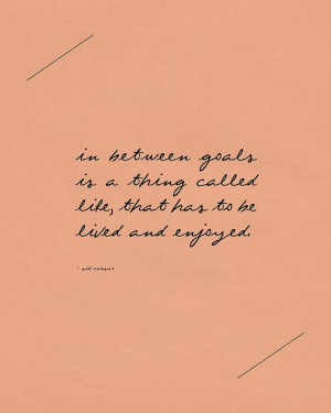 in between goals is a thing called life that has to be lived and ...