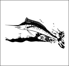 marlin t-shirt