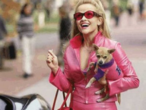 elle woods Congratulations To The 9,974 New Lawyers In New York!