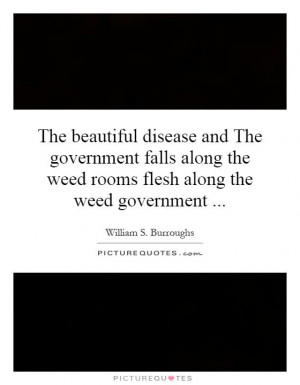 The beautiful disease and The government falls along the weed rooms ...