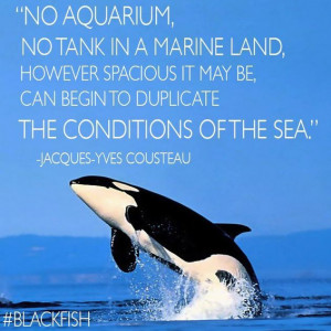 http://oceanshepherd.blogspot.com/p/captivitykills.html