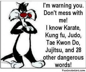 Don't Mess with Me Quotes