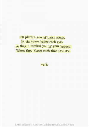 ... Daisy tears poetry poem write poet bloom daisies poetic Four fourlines