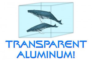 How do you build a container strong enough to transport two humpback ...