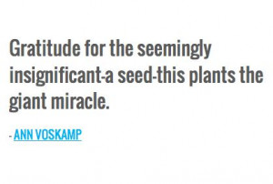 ... insignificant - a seed - this plants the giant miracle. - Ann Voskamp