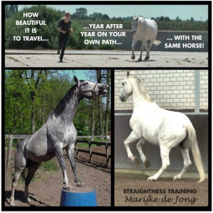 Enjoy your own path with your own horse!