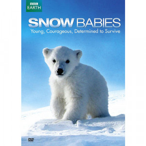 Snow Babies Polar Bear: Spy on the Ice DVD - Warner Home Video - Toys ...