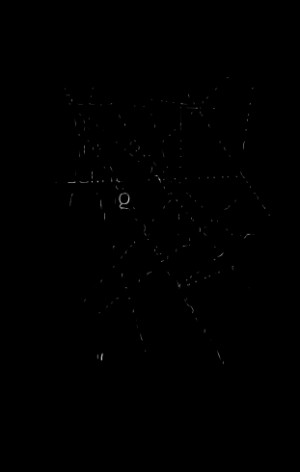 ... Is Filled With Love, Peace, Joy, Abundance And All Good Things