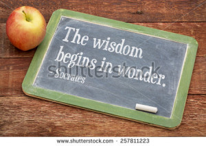 The wisdom begins in wonder - quote by Socrates, ancient Greek ...