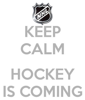 ... Hockey Quotes, Sports Stuff, Hockey Life, Hockey Seasons, Flyers Fans