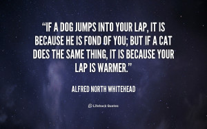 Funny Quotes Contact Us DMCA Notice