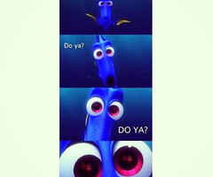 Dory Do Ya