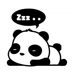 Cute Panda Zzz Sleeping...