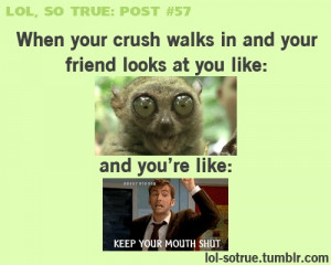 funny, lol, lol so true post, post, quote, text