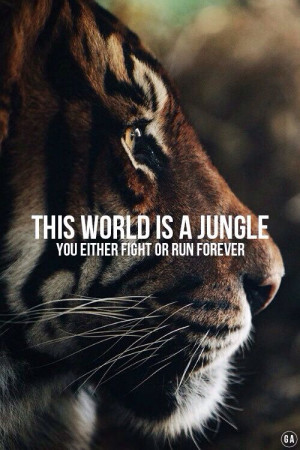 The world is a jungle