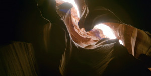 it sculpts in passing.”-Robert BressonStill from The Tree of Life ...