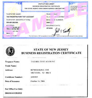 Sample Business Registration Certificate