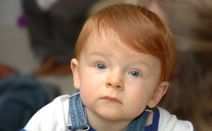 File:Redheaded child mesmerized 3.jpg