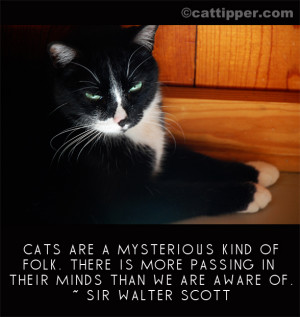 Famous Cat Quote: Sir Walter Scott
