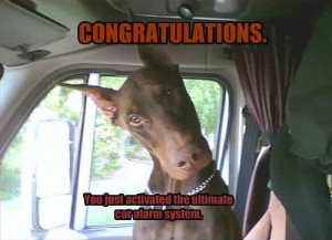 Funny Dog - Congratulations