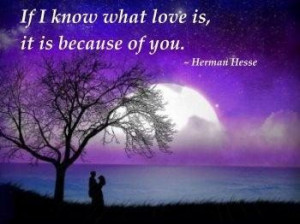 Philosophy quotes about love philosophical quotes