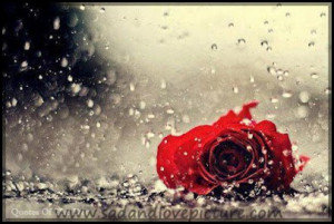 Heart Touching Love Poem, Don't Read it Now if U Don't have Time !