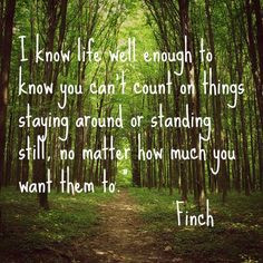 All the Bright Places More