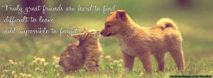 Cat and dog, Friendship quote timeline cover banner.