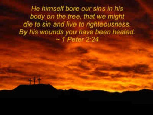 He Himself Bore Our Sins In His Body On The Tree, That We Might Die To ...