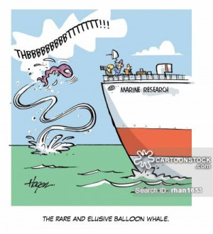 Marine Biology Cartoons Cartoon Funny