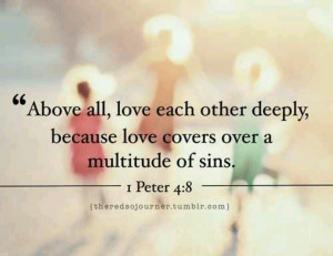 ... for each other, for love covers a multitude of sins. ~ 1 Peter 4:8, N