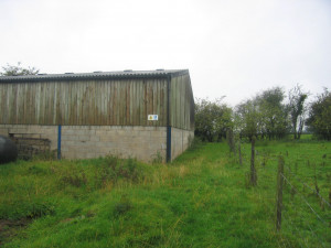 Anwar Robinson Pictures