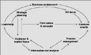 ... organisational excellence as a central feature of management